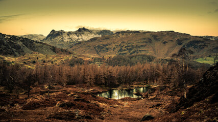 Langdale and Tarn from Holme Fell