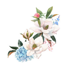 Beautiful stock illustration with gentle hand drawn watercolor floral composition. Magnolia and hydrangea flowers. - obrazy, fototapety, plakaty
