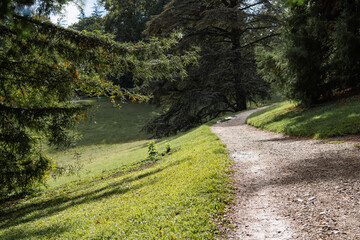 Obraz premium chemin à la lisière de la fôret