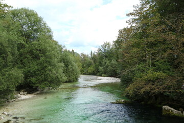 Naklejka na ściany i meble River Sava Bohinjka, Bohinj, Slovenia