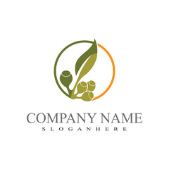 Fototapeta premium Eucalyptus leaves logo vector template design illustration