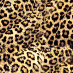 Leopard skin texture design seamless pattern