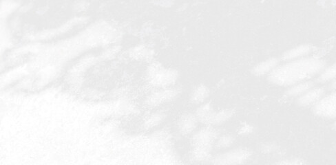 Abstract Shadow. blur background. gray leaves that reflect concrete walls on a white wall surface for blurred backgrounds and monochrome wallpapers.