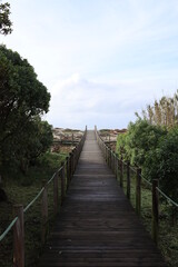 wooden walkway to the beach