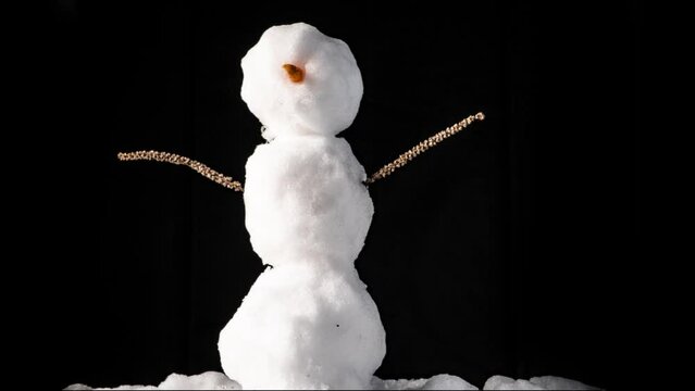 Cute Melting Snowman Time Lapse