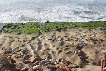 Fototapeta na wymiar Green moss and rocks on the shore