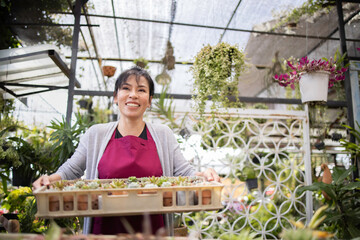 Confident Asian woman business owner holding tray gardening in greenhouse, Entrepreneur success concept