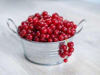 A metal basin filled with red currants