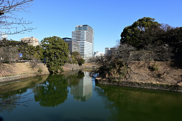 mixed views of a tall modern building, winter trees and water