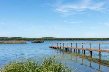 AUREILHAN (Landes, France), vue sur l'étang près de Biscarrosse
