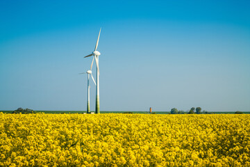 Ostfriesische Landschaft
