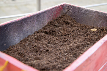 A close up on gardening soil in a pink bucket, gardening concept