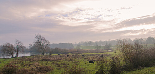 Natuurgebied Meinerswijk Arnhem