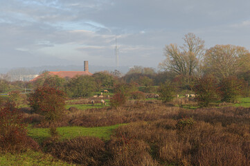 Natuurgebied Meinerswijk Arnhem
