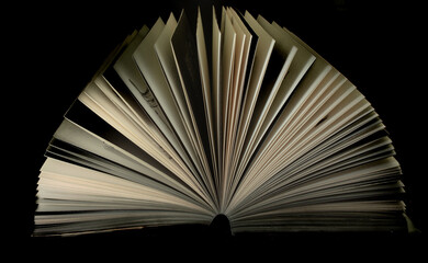Fanned Book