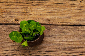 Fresh clover bouquet in ceramic cup. Good luck symbol, St.Patrick's Day concept