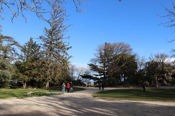 Le jardin le rocher des Doms, ville de Avignon, département du Vaucluse, France