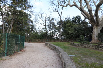 Le jardin le rocher des Doms, ville de Avignon, département du Vaucluse, France