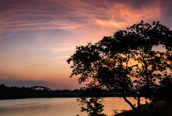 Tree Silhouettes at Sunset with Yellow and Orange Sky and Scattered Clouds