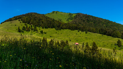View of Osnica hill, Slovakia, Mala Fatra