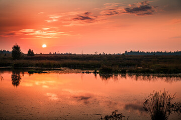 Sonnenuntergang im Hohen Venn