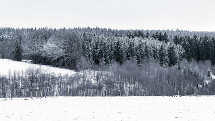 Eifel Winter