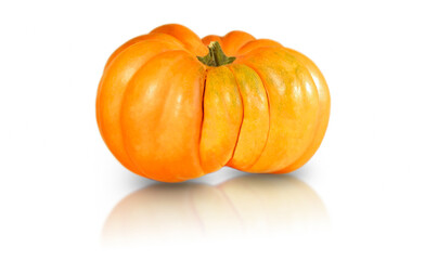 pumpkin isolated on white background harvesting 
