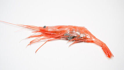 新鮮な南蛮エビ