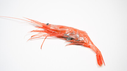 新鮮な南蛮エビ