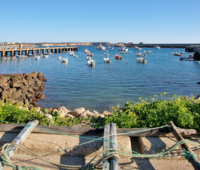 Traditional fishing boats in the port of Sagres, Westalgarve - Portugal 