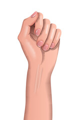 Vector wrist in gradient style