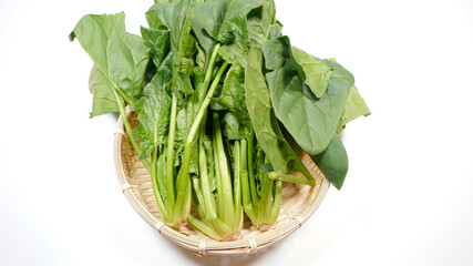 新鮮なほうれん草