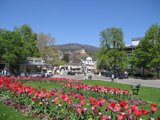 Lichtentaler Allee mit Blumen im Frühjahr in Baden-Baden im Schwarzwald