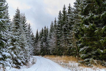 Winterlandschaft im Thüringer Wald