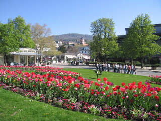 Tulpen im Kurpark Parkanlage Frühling Lichtentaler Allee in Baden-Baden