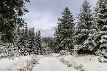 Winterlandschaft im Thüringer Wald