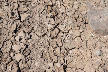 Fototapeta premium trockene Erde
