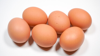 新鮮な卵