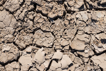 trockene Erde