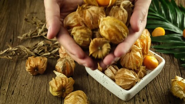 Man holding Cape Gooseberry fruit in his hand