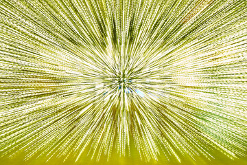 velocidad de luz amarilla como rayos