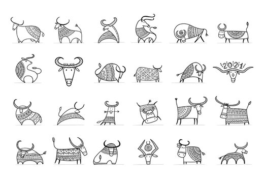 Funny sketch bull collection. Lunar horoscope sign. Happy new year 2021. Bull, ox, cow. Template for your design - poster, card, invitation
