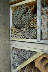 Insektenhotel, Bienenhotel, Holz, Stöcke als Unterschlupf für Bienen, Hummel und Insekten