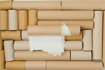 flat lay on toilet paper tubes background