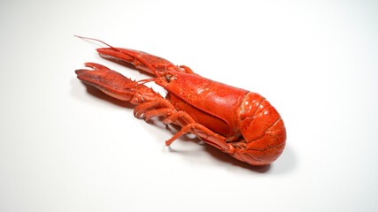 ボイルされたロブスター