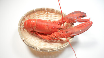 ざるにのっているロブスター