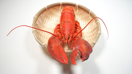 ざるにのっているロブスター