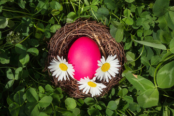 Bright cute Easter concept. Eggs painted magenta lie in a nest with flowers. Grass background, the...