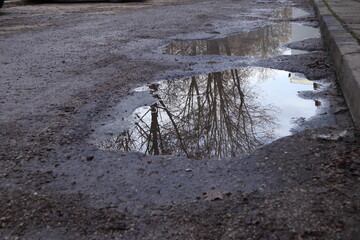 Puddle © Maciej Bonk