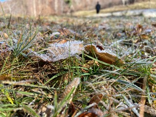 Selective focus on grass with a silhouette in the background